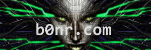 b0nr.com