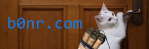b0nr.com
